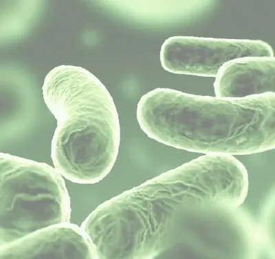 Biodegradabile